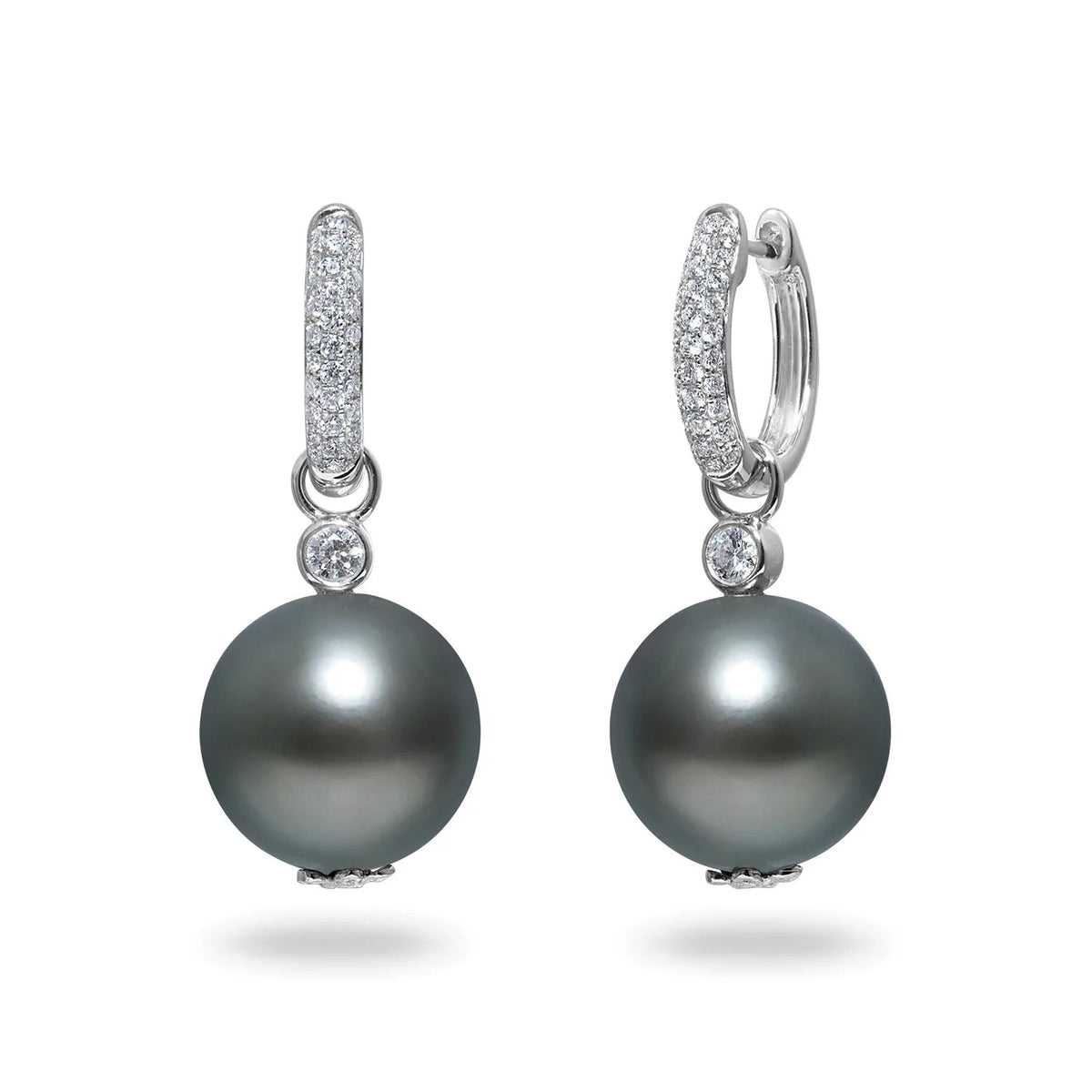 DFJ 14 Karat White Gold 12x13mm Tahitian Pearl Earrings