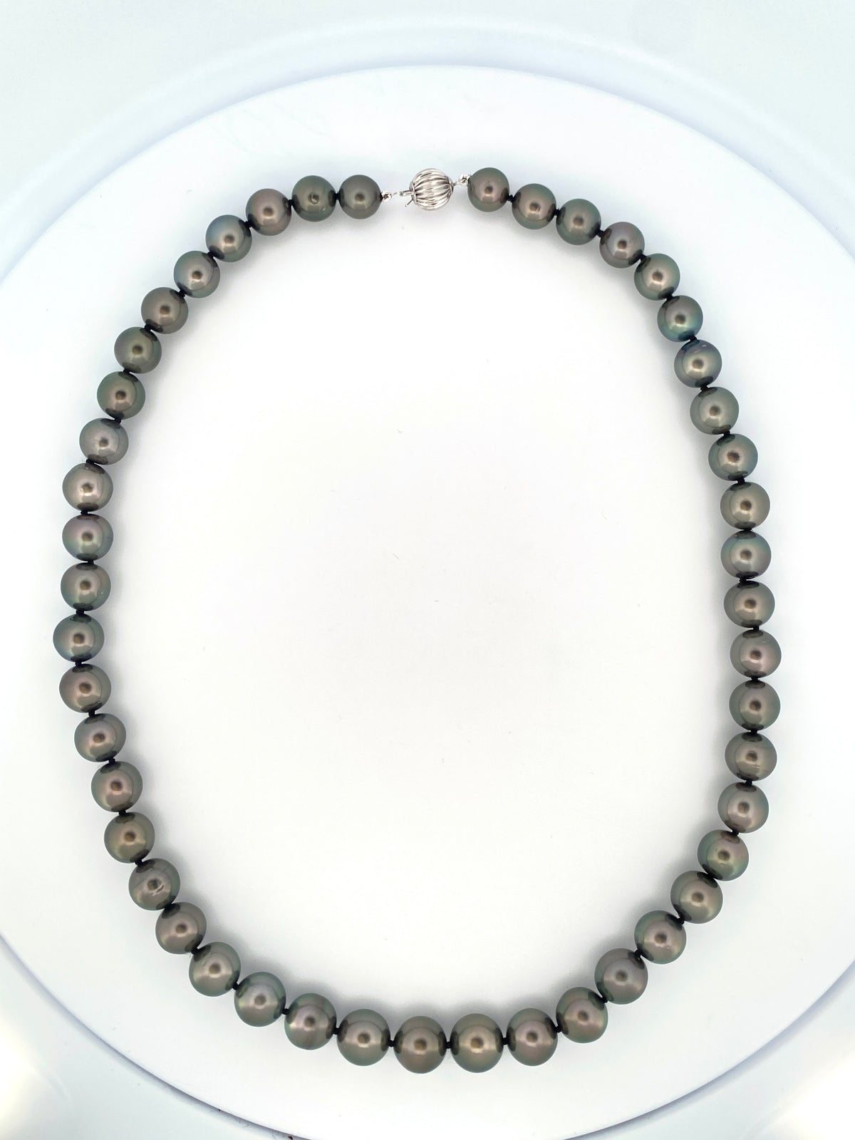 DFJ 14 Karat White Gold 8x10mm Tahitian Pearl Strand